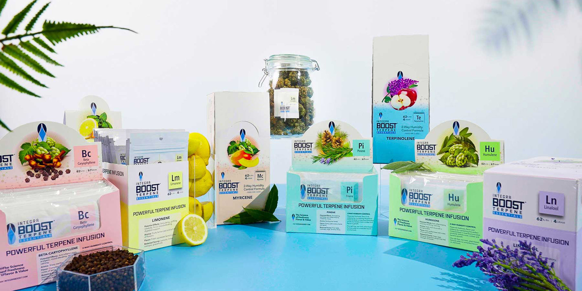 Integra Boost Humidity Packs